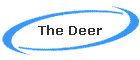 The Deer