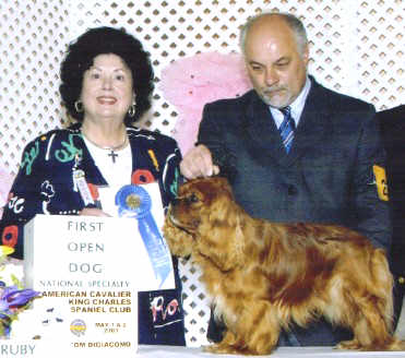 Roxians Robert Parker Red